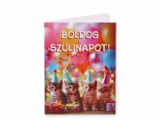 Képeslap Boldog Szülinapot cicás + boríték 652416